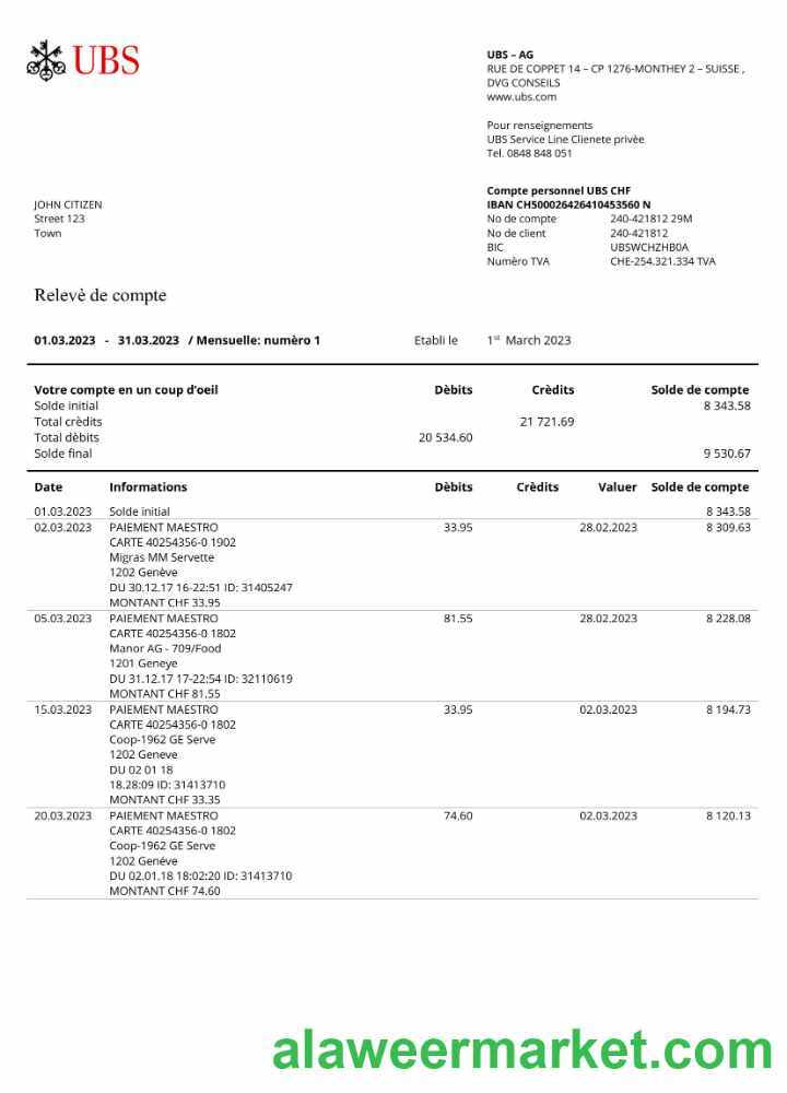 France UBS bank statement Word and PDF template